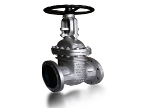 Parallel-Slide-Gate-Valve.jpg